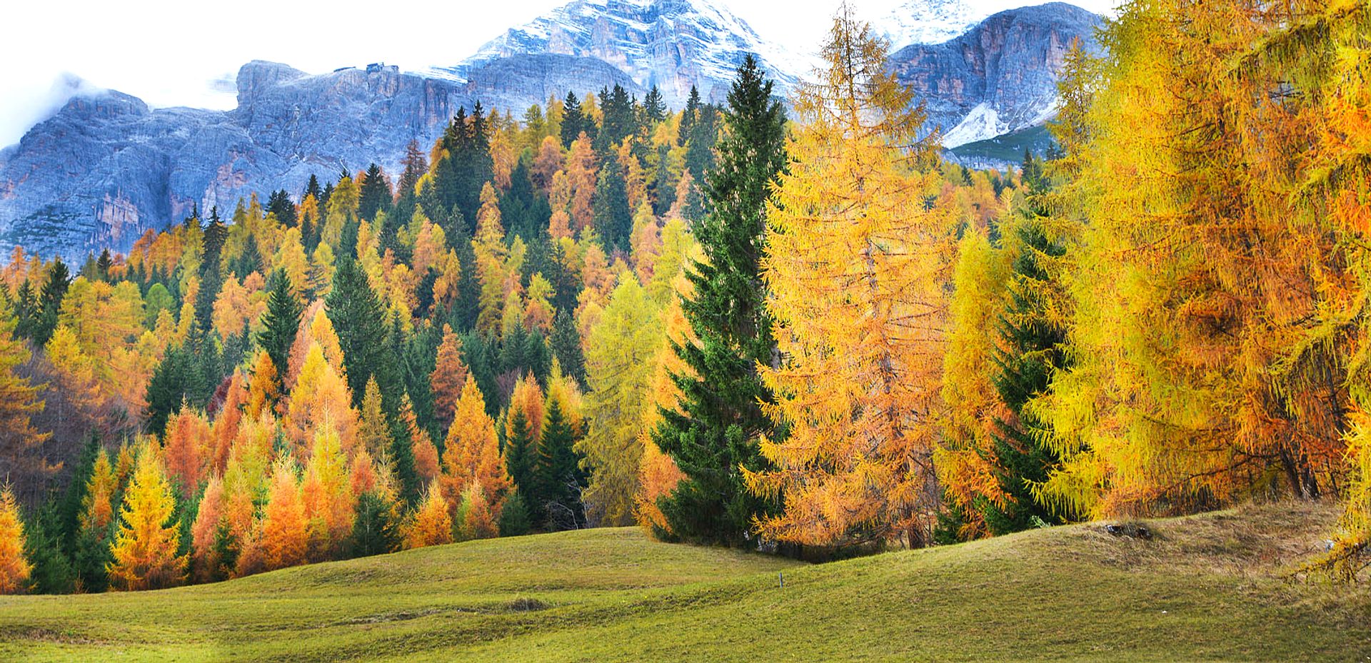 Autumn forest in the mountains