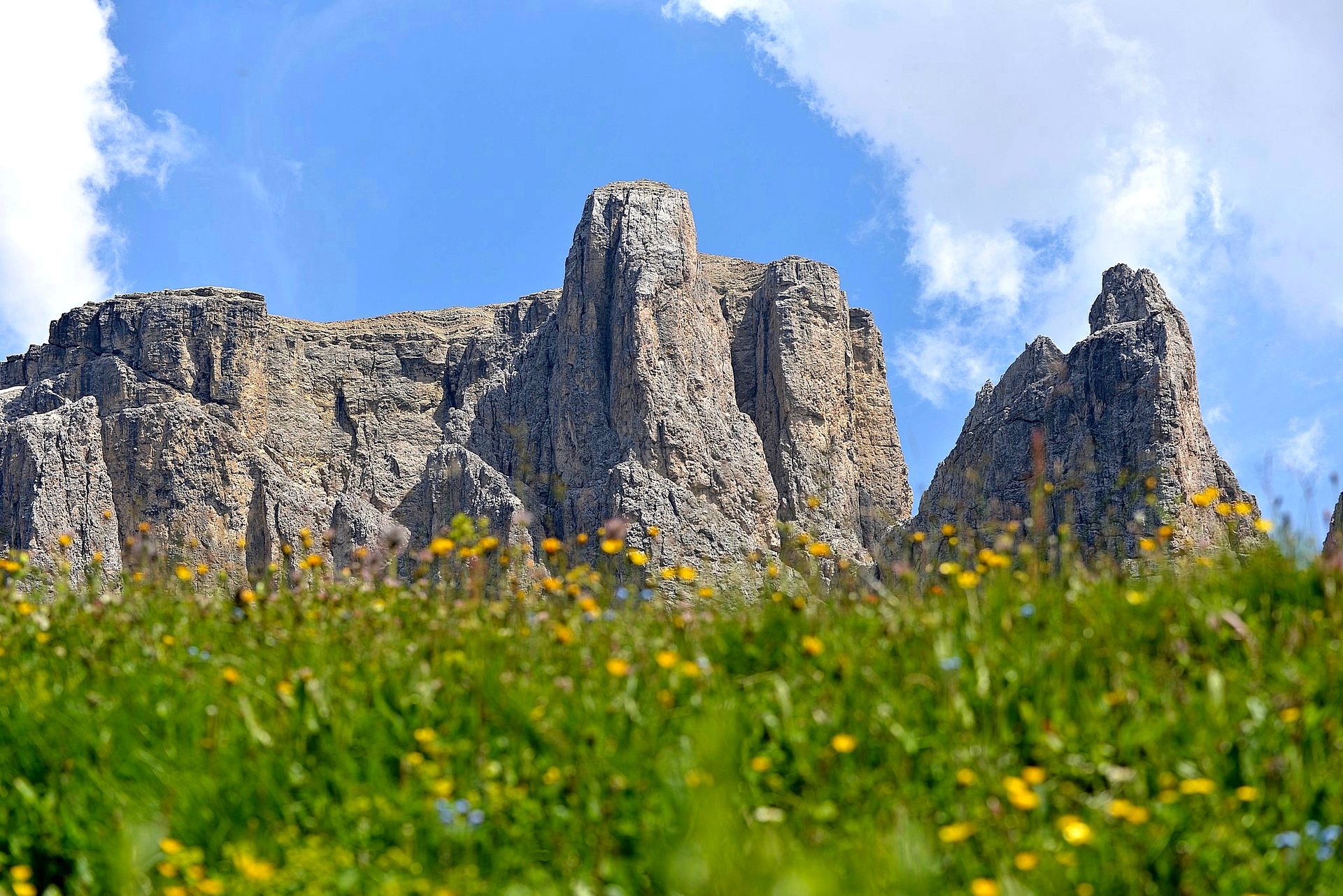 Mountain peaks and flowery meadow