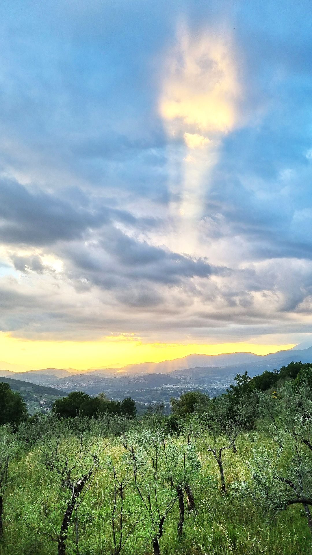 Ray of light at sunset