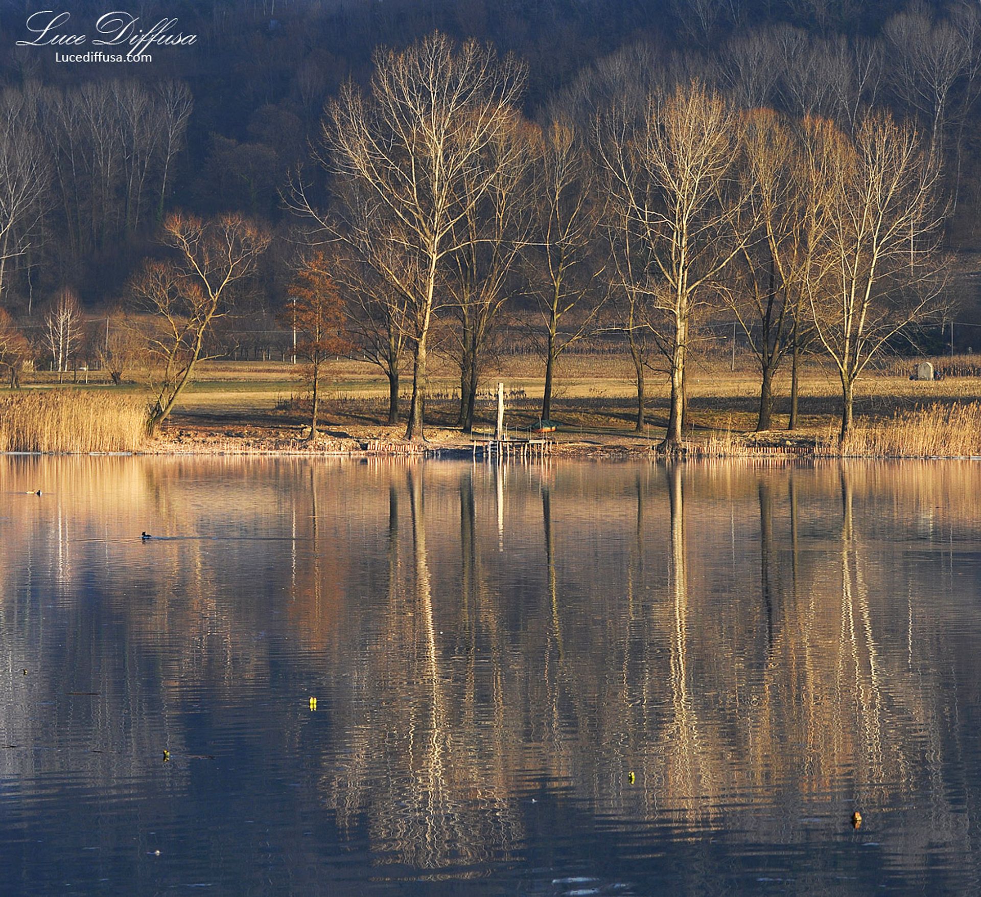 Autumn reflections on the lake