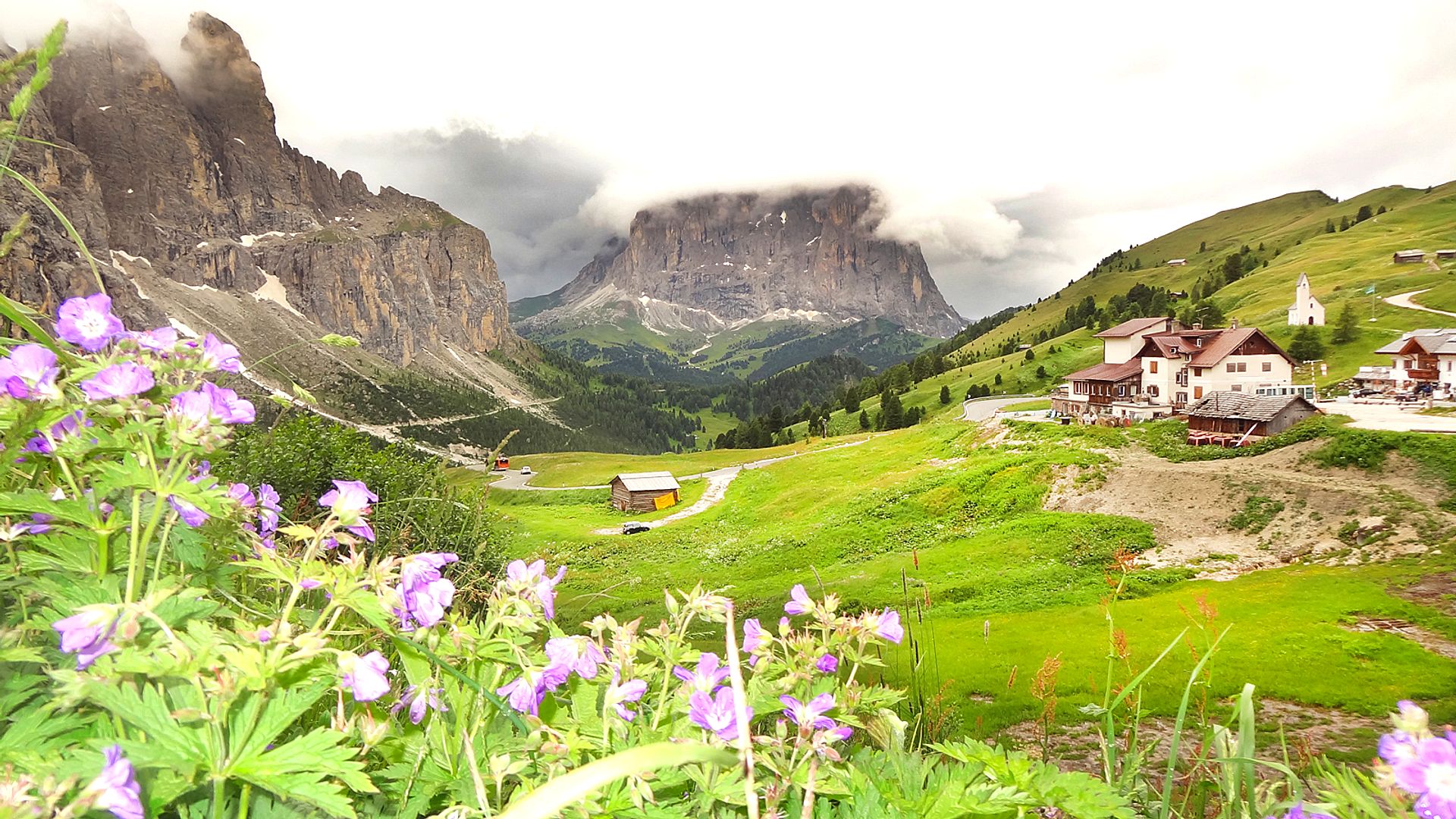 Alpine landscape with flowers