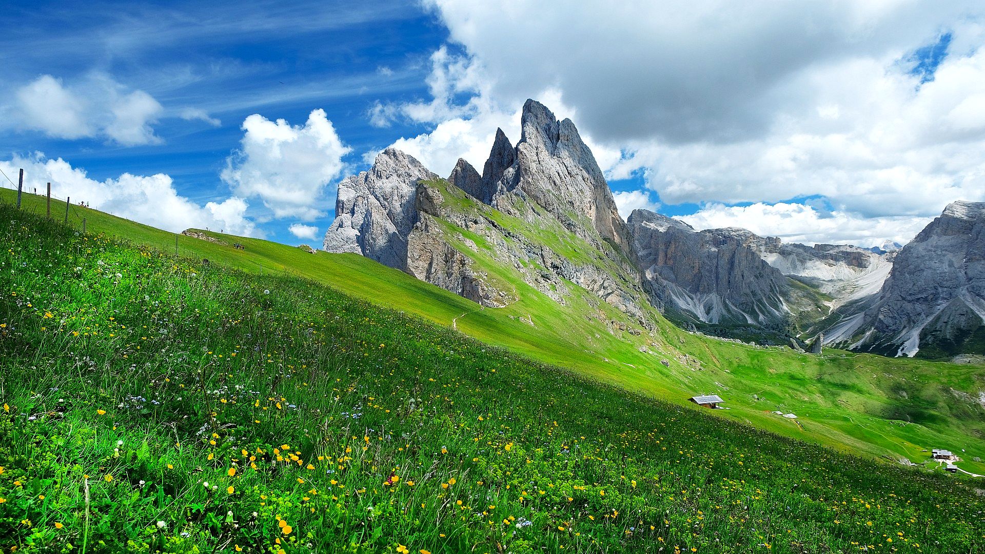 Summit of Mount Seceda