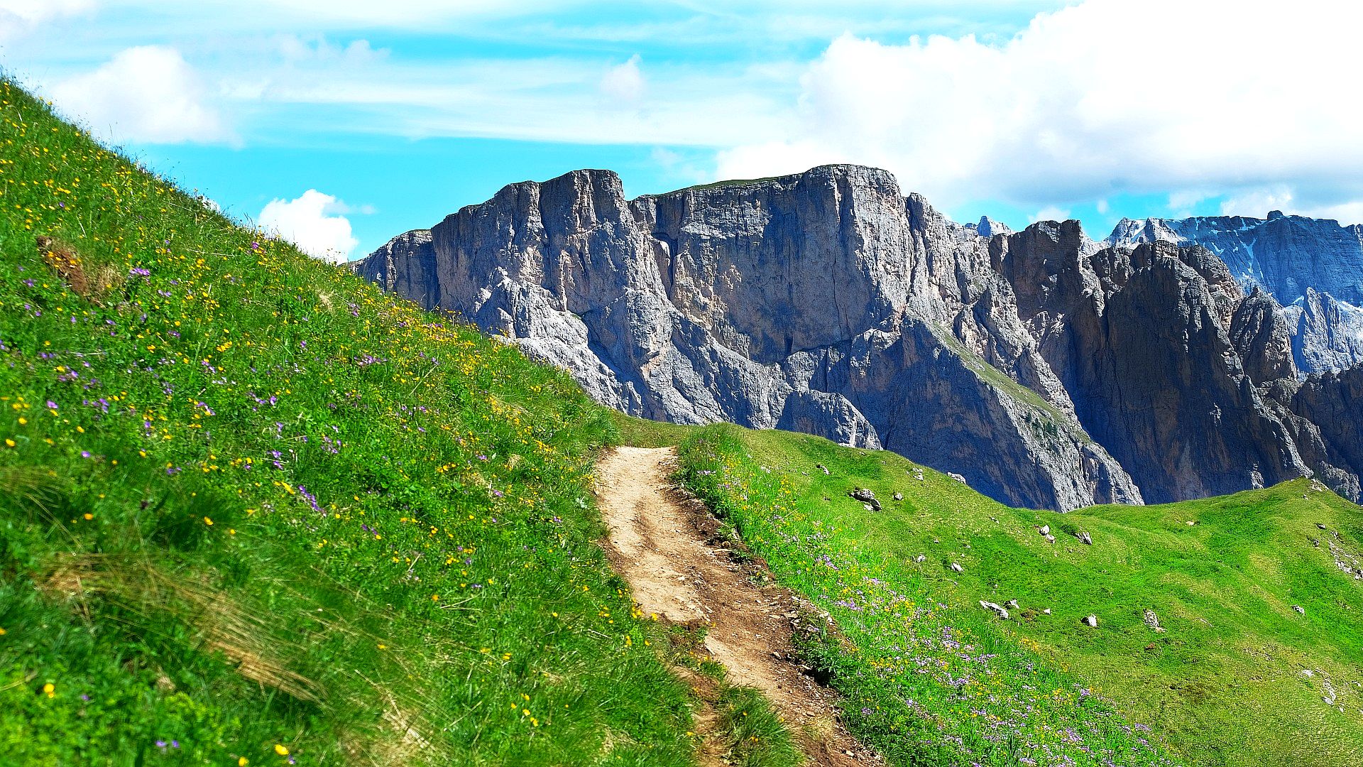 Path between the mountains