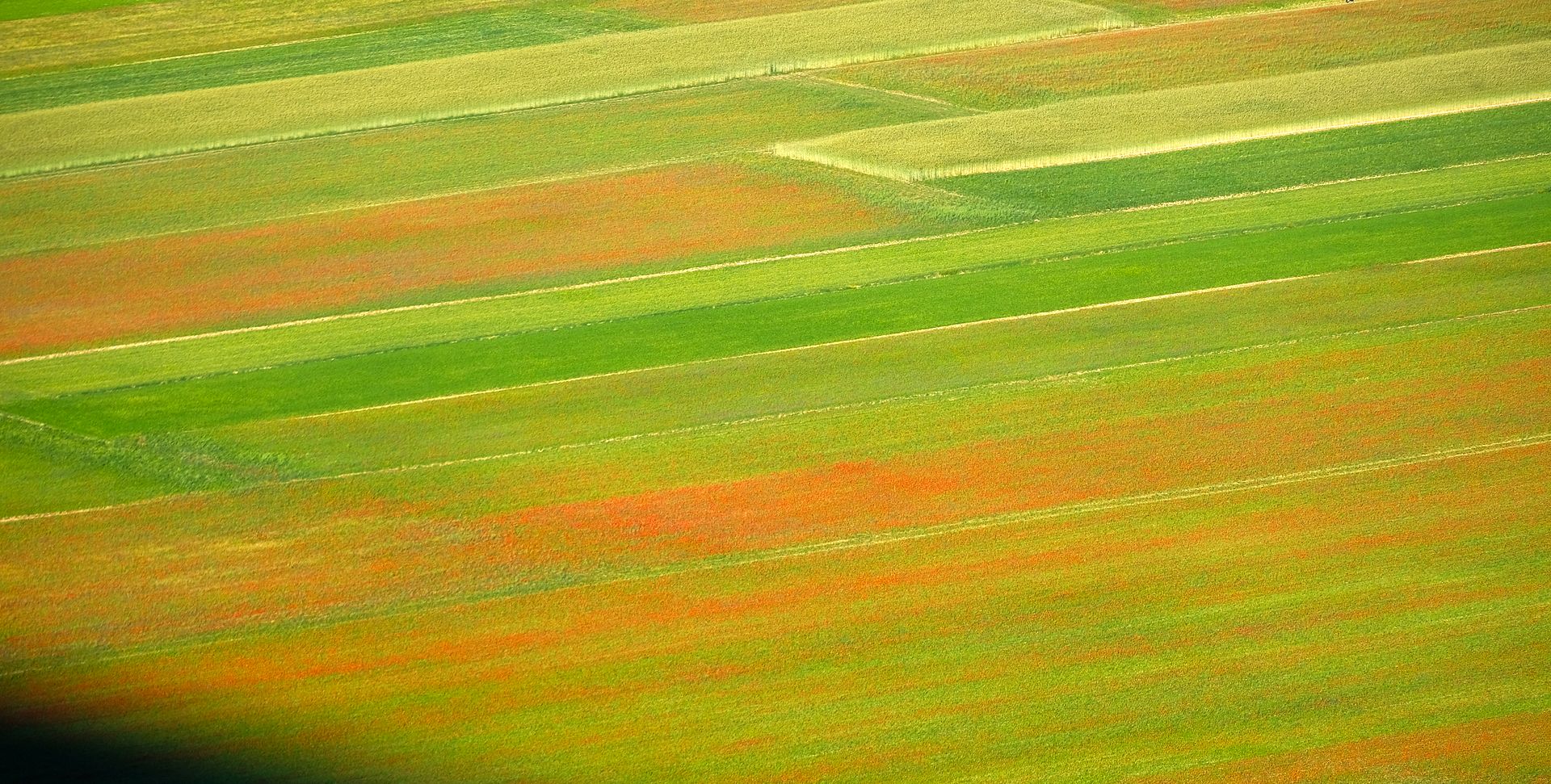 Aerial View of Striped Fields