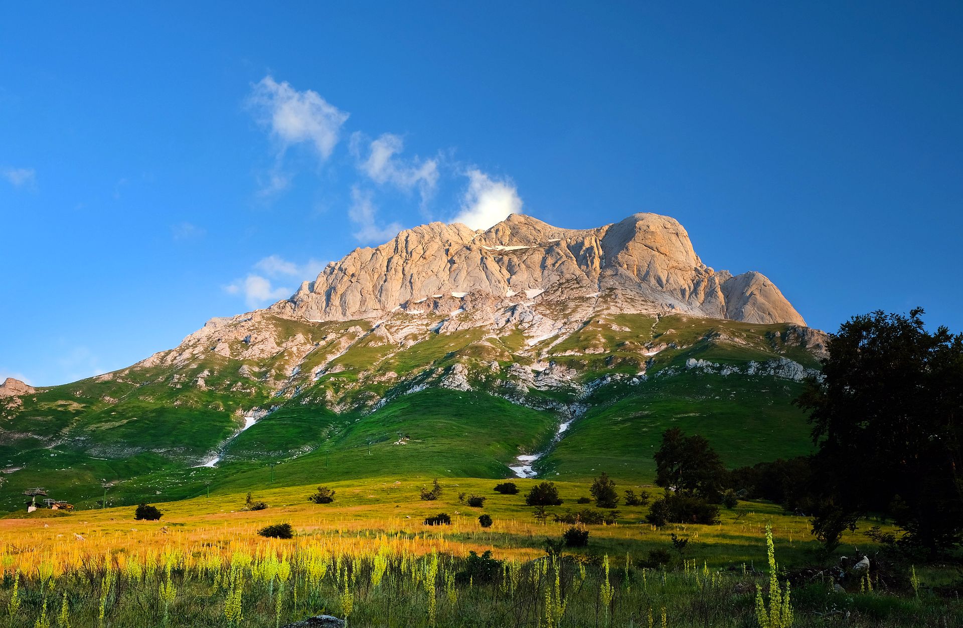 Majestic Rocky Mountain Peak