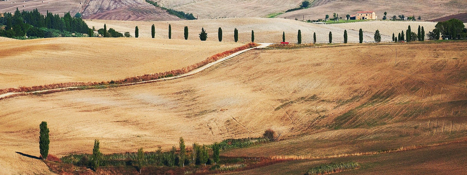 Tuscan Hills and Cypresses