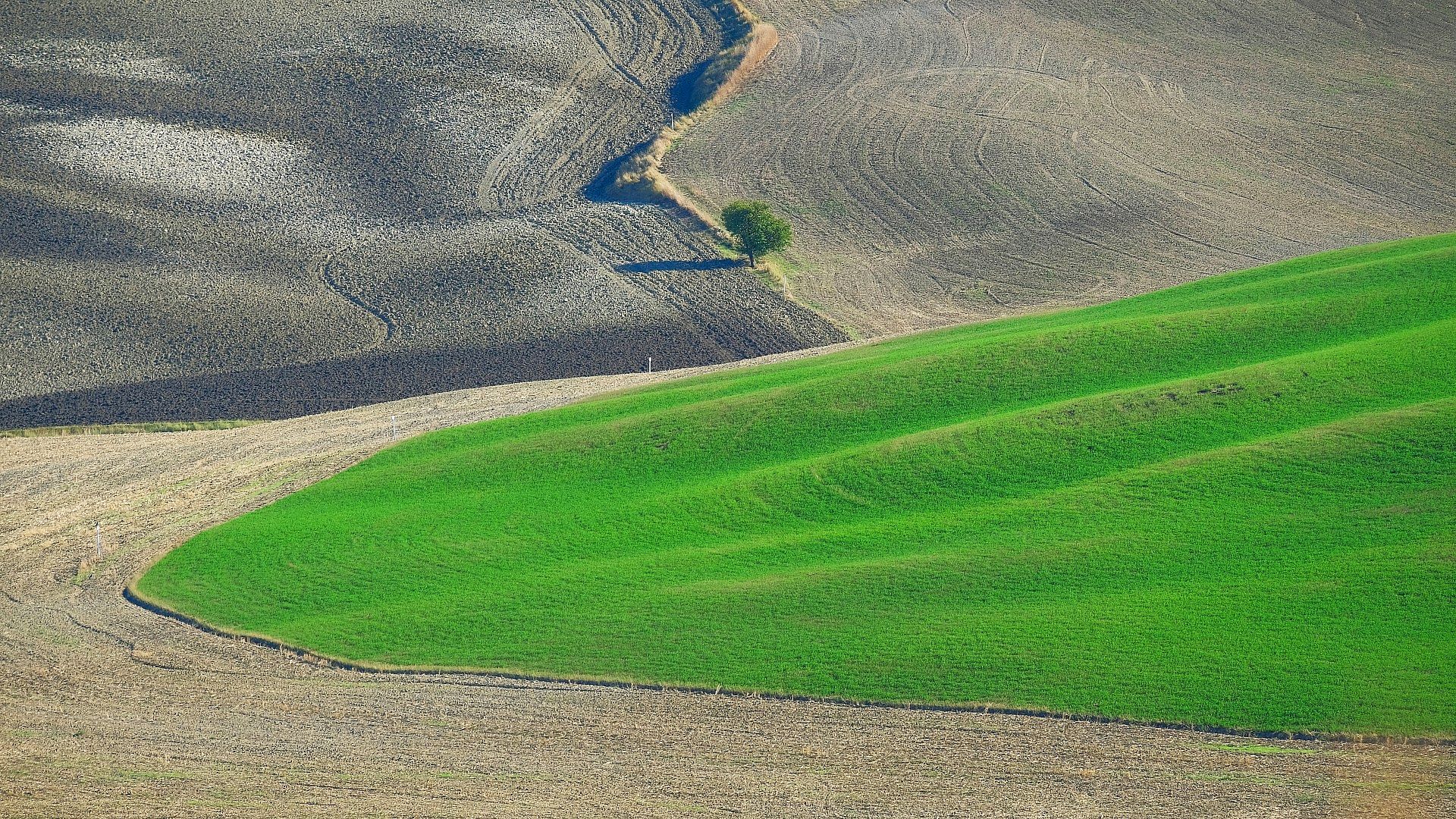 Rolling hills between fields