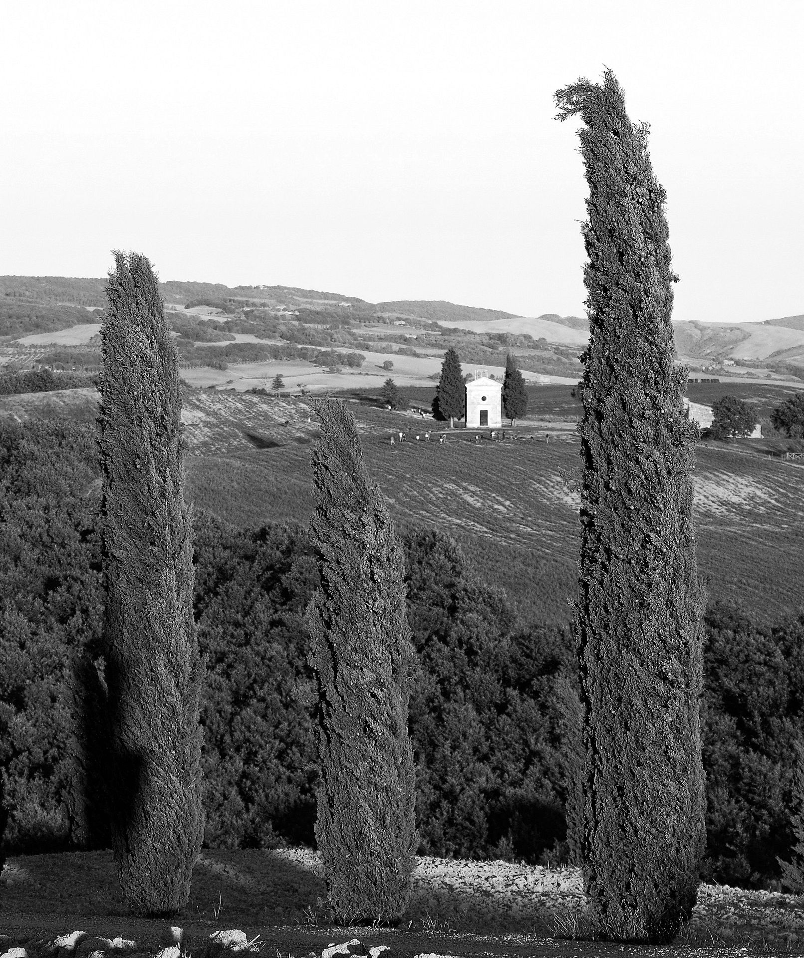 Tuscan landscape in black and white