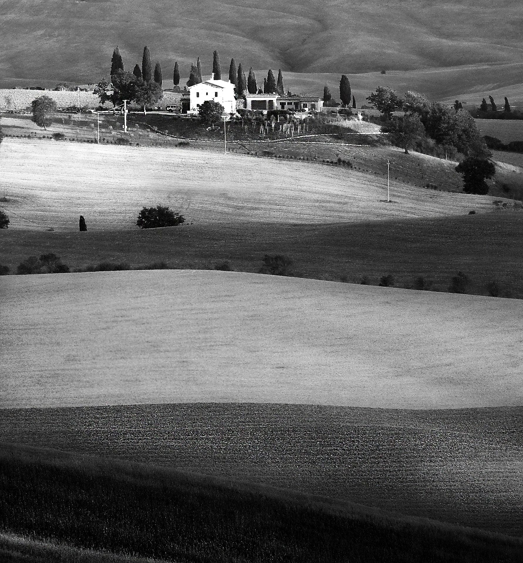 Tuscan hills in black and white