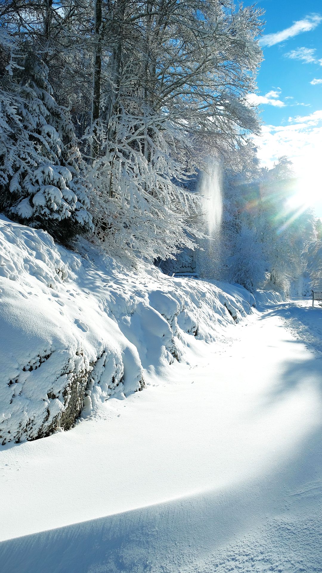 Snowy winter landscape