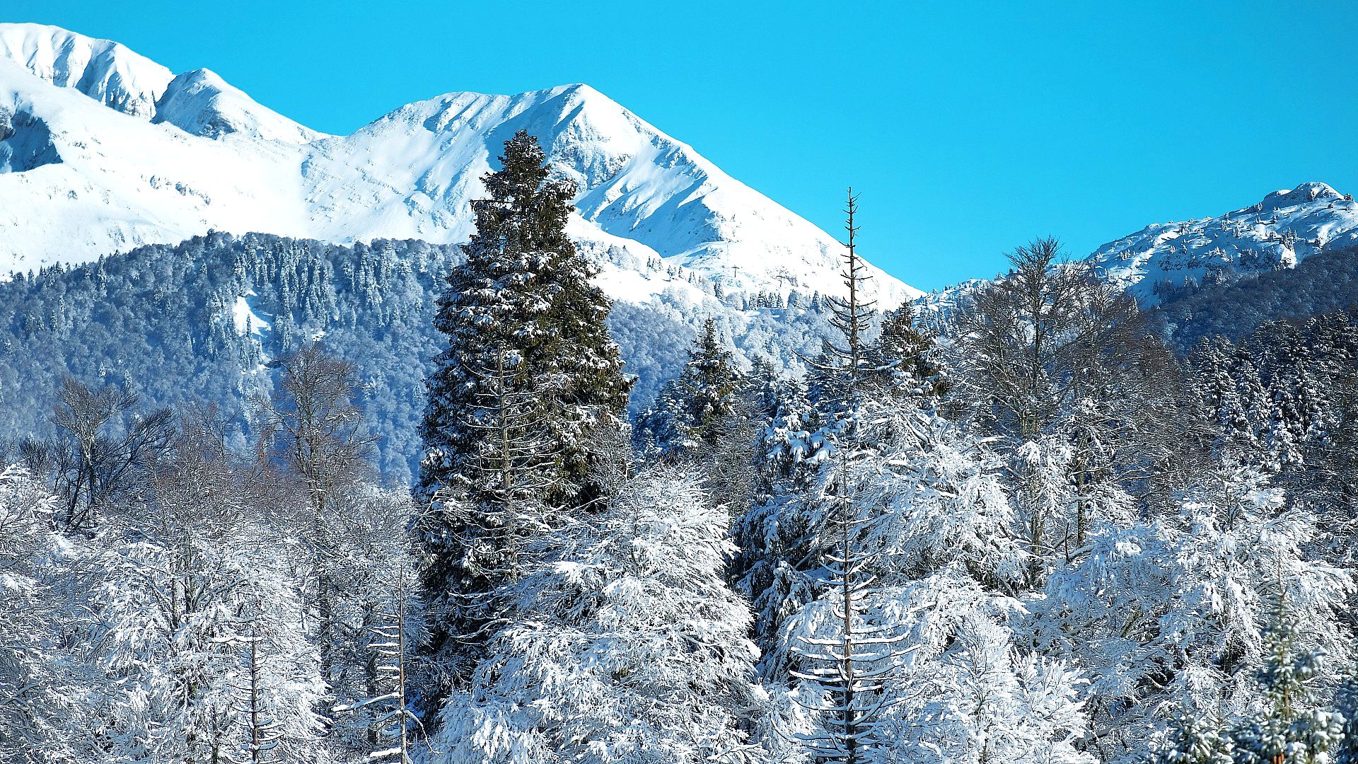 Snowy mountain landscape
