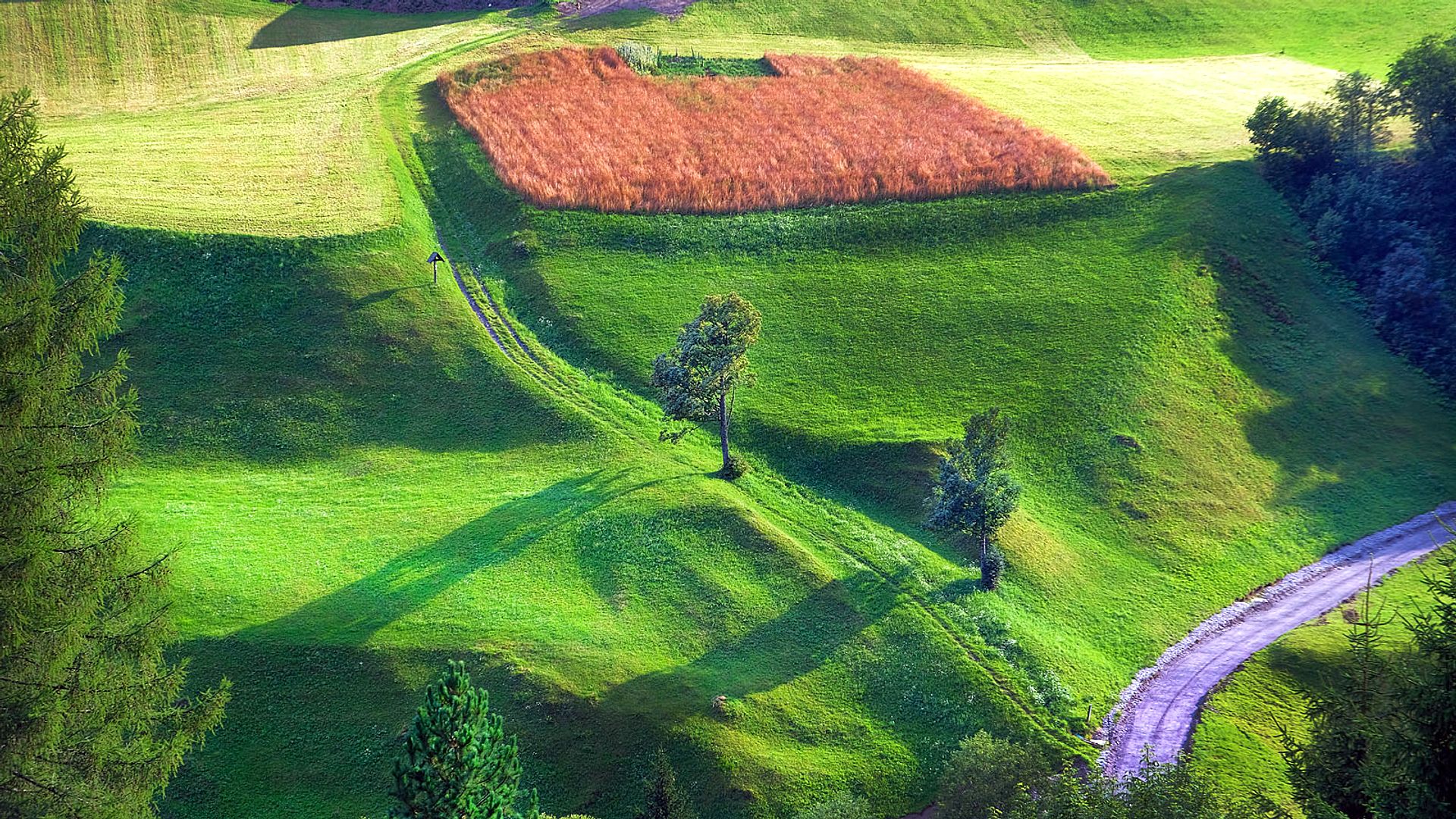Green hills and paths