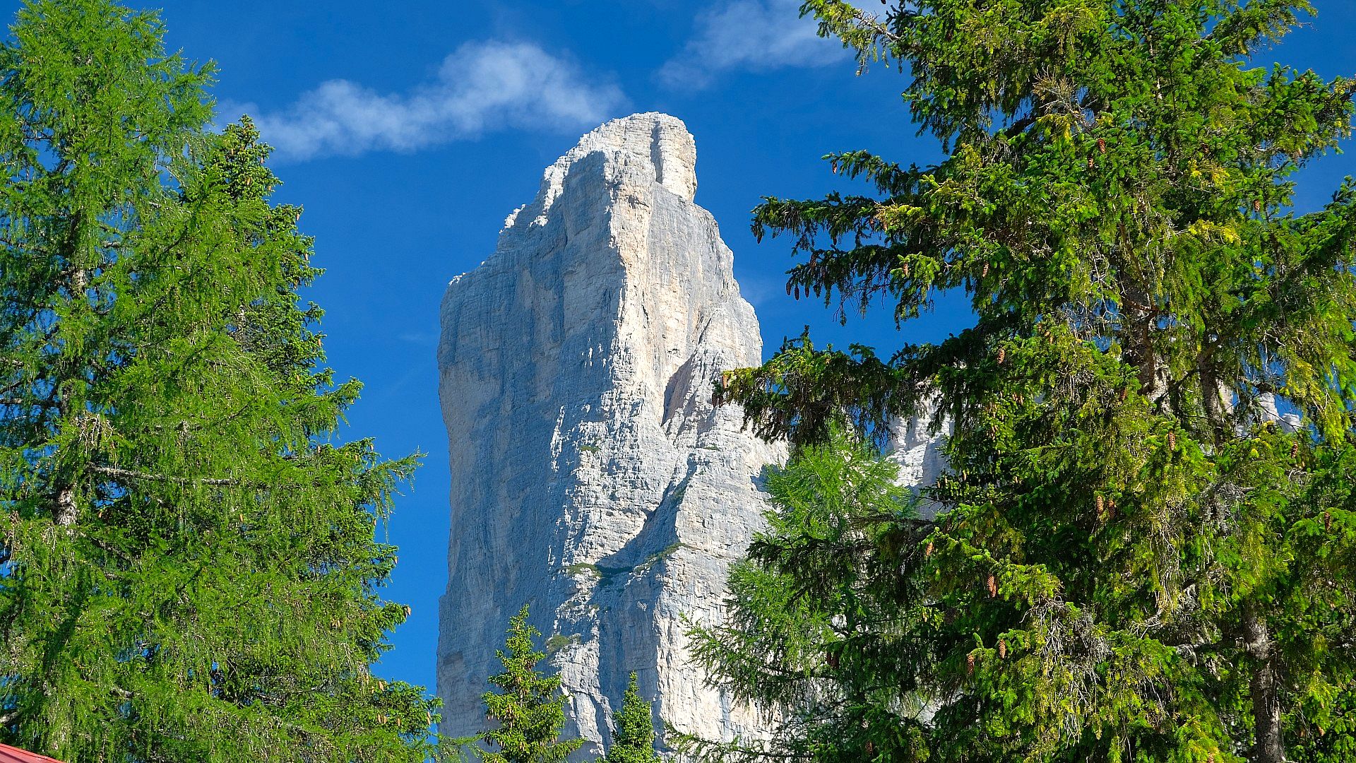 Rocky spire among the trees