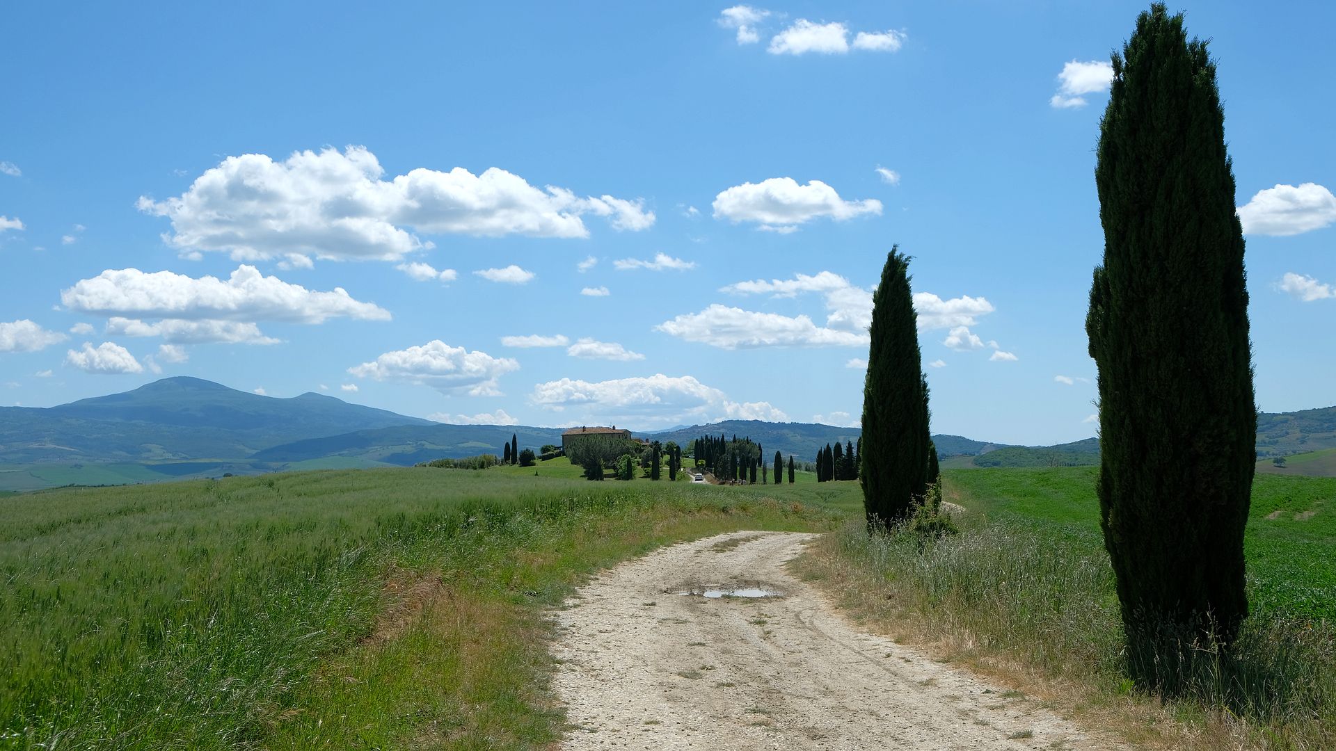 Tuscan Landscape with Cypress Trees