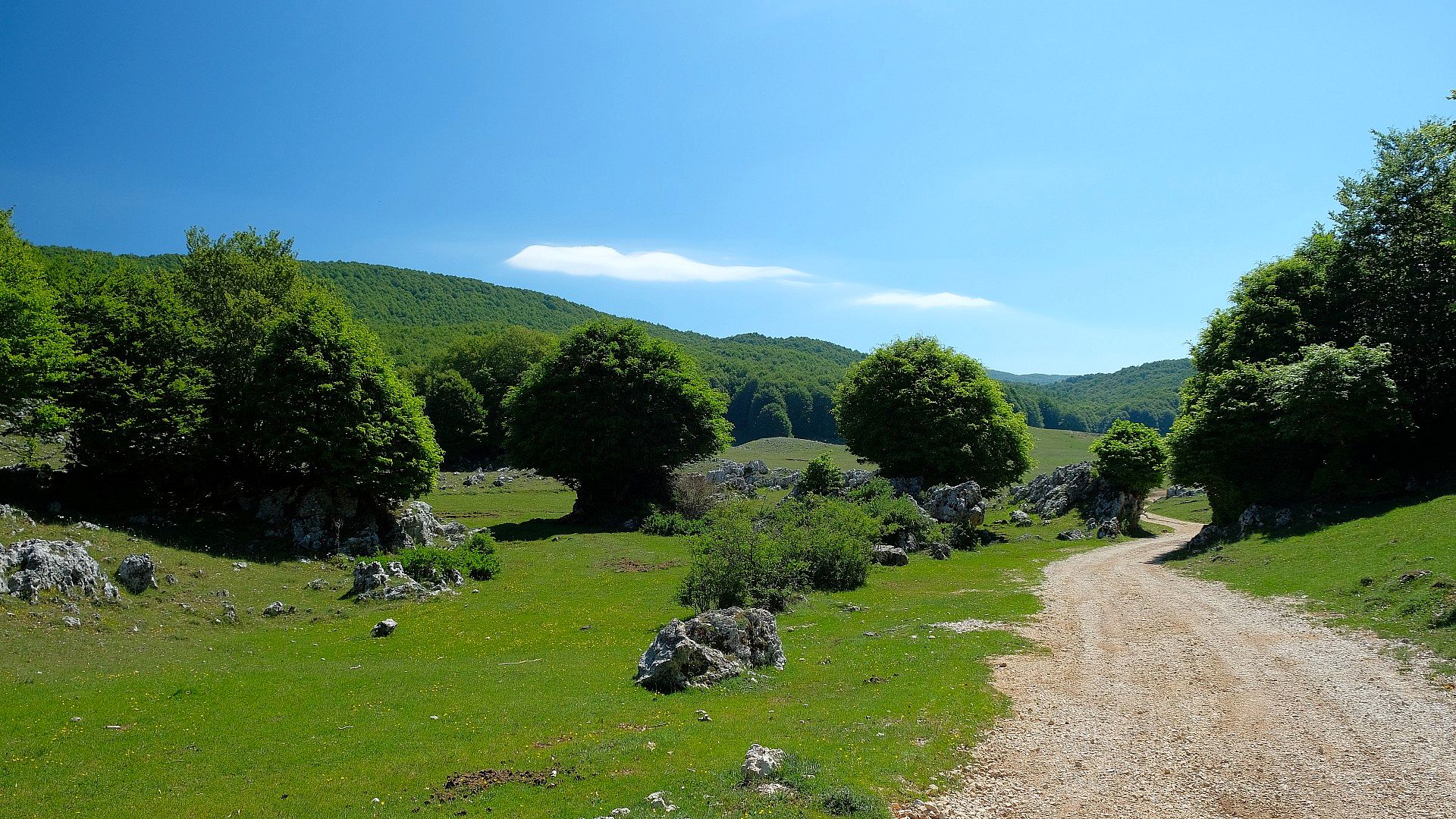 Path among green hills