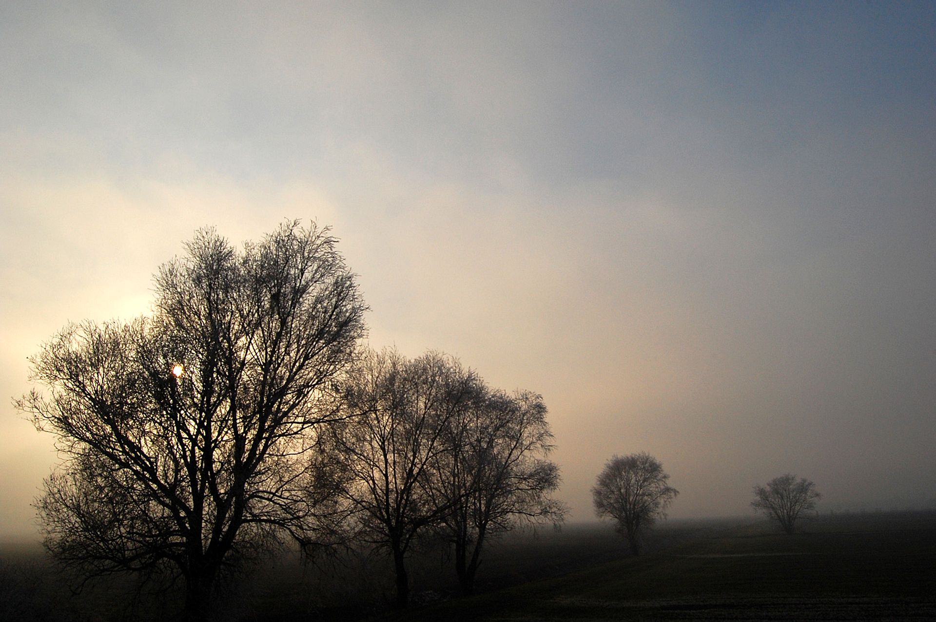 Foggy dawn in the countryside