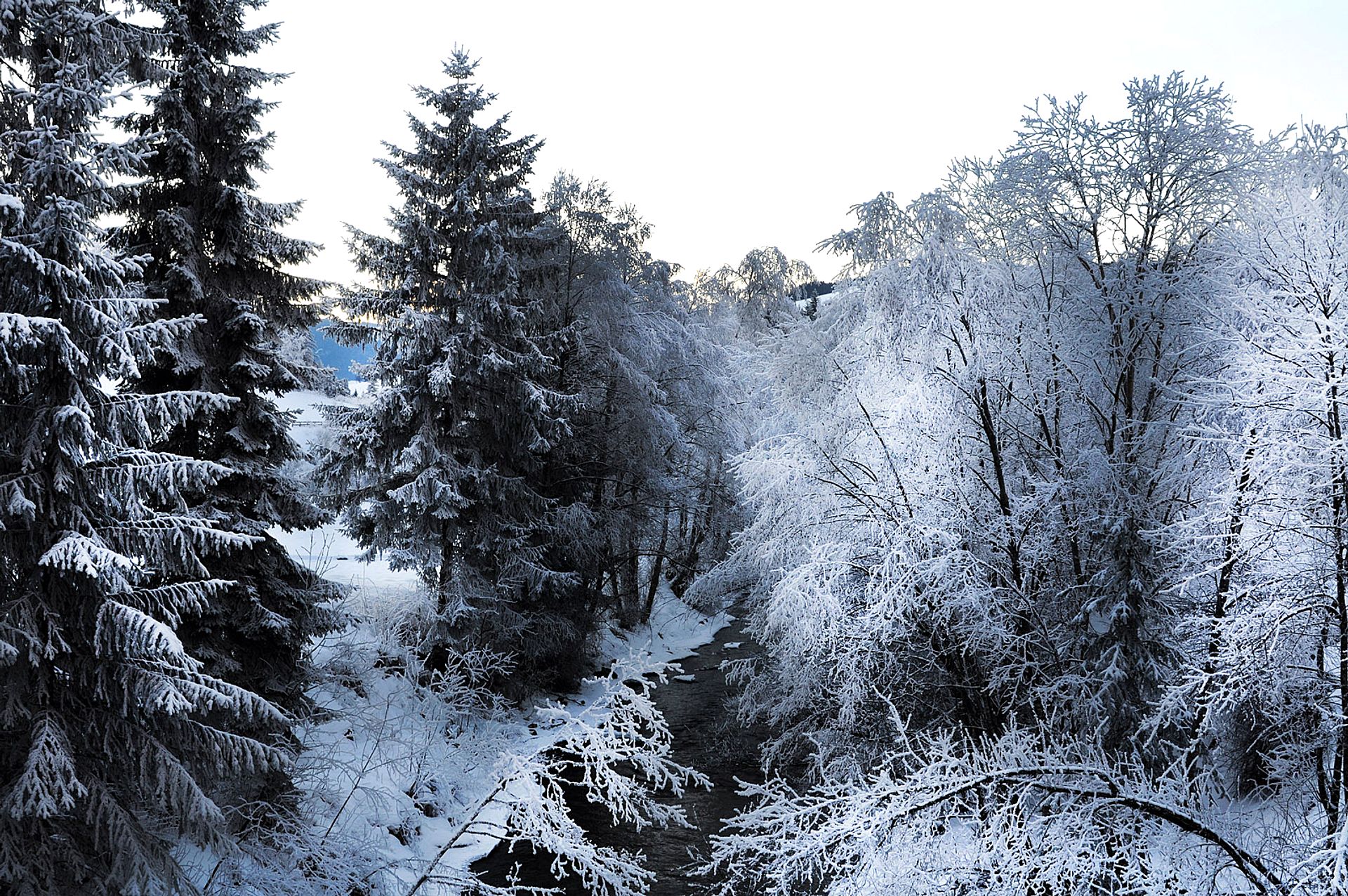 Stream in winter landscape