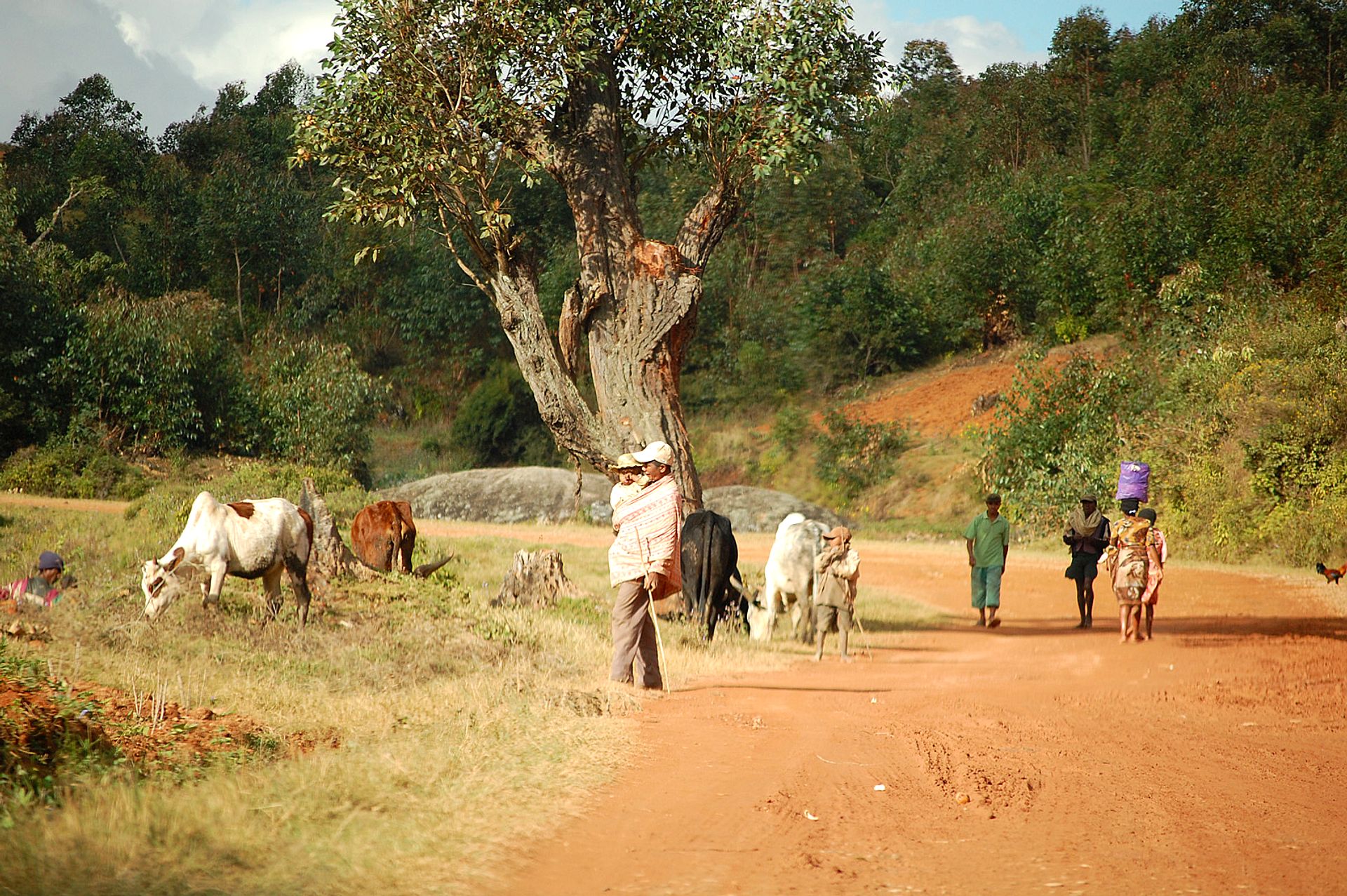 Daily life in the countryside