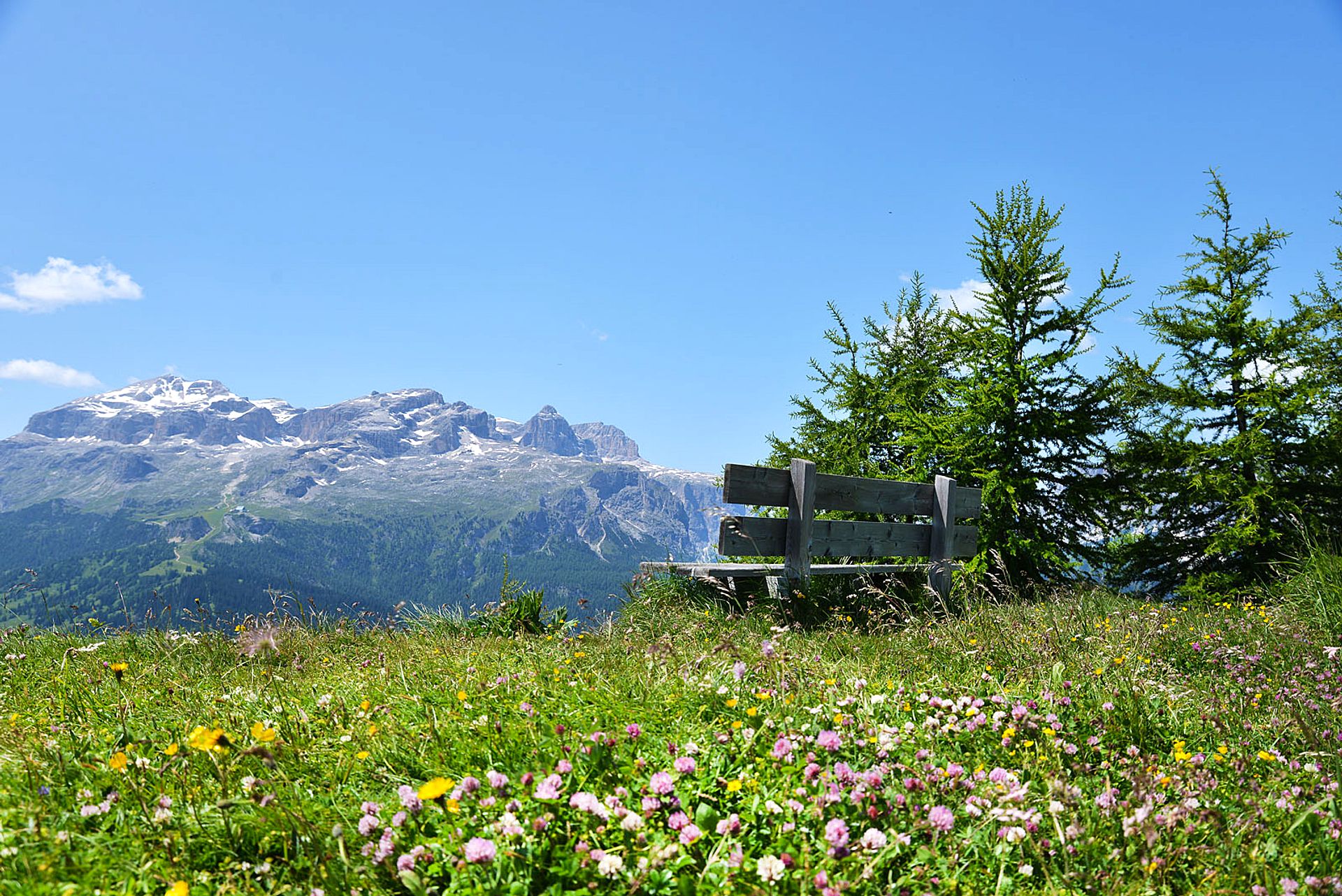 Panoramic bench on the mountains