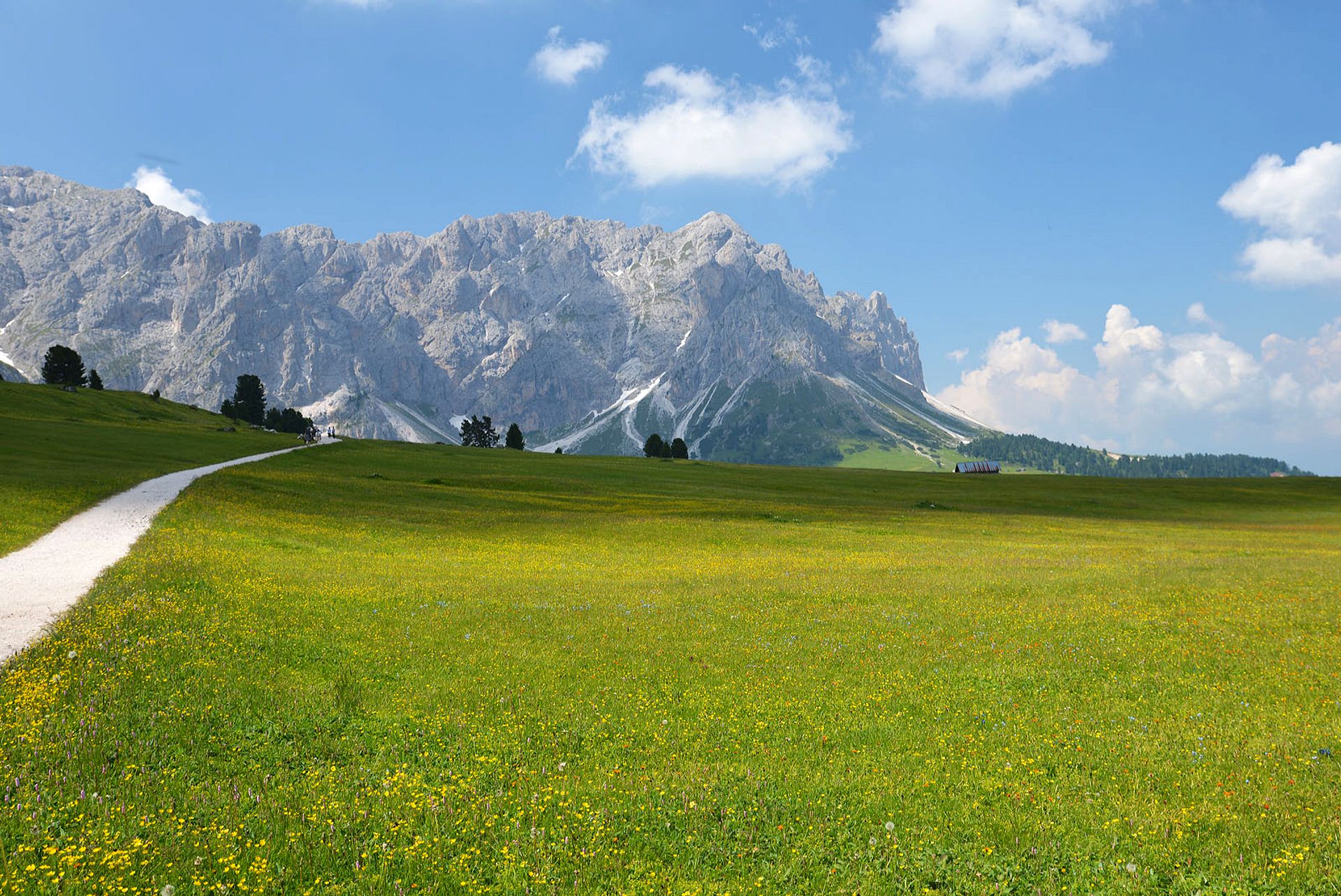 Mountain landscape with meadow