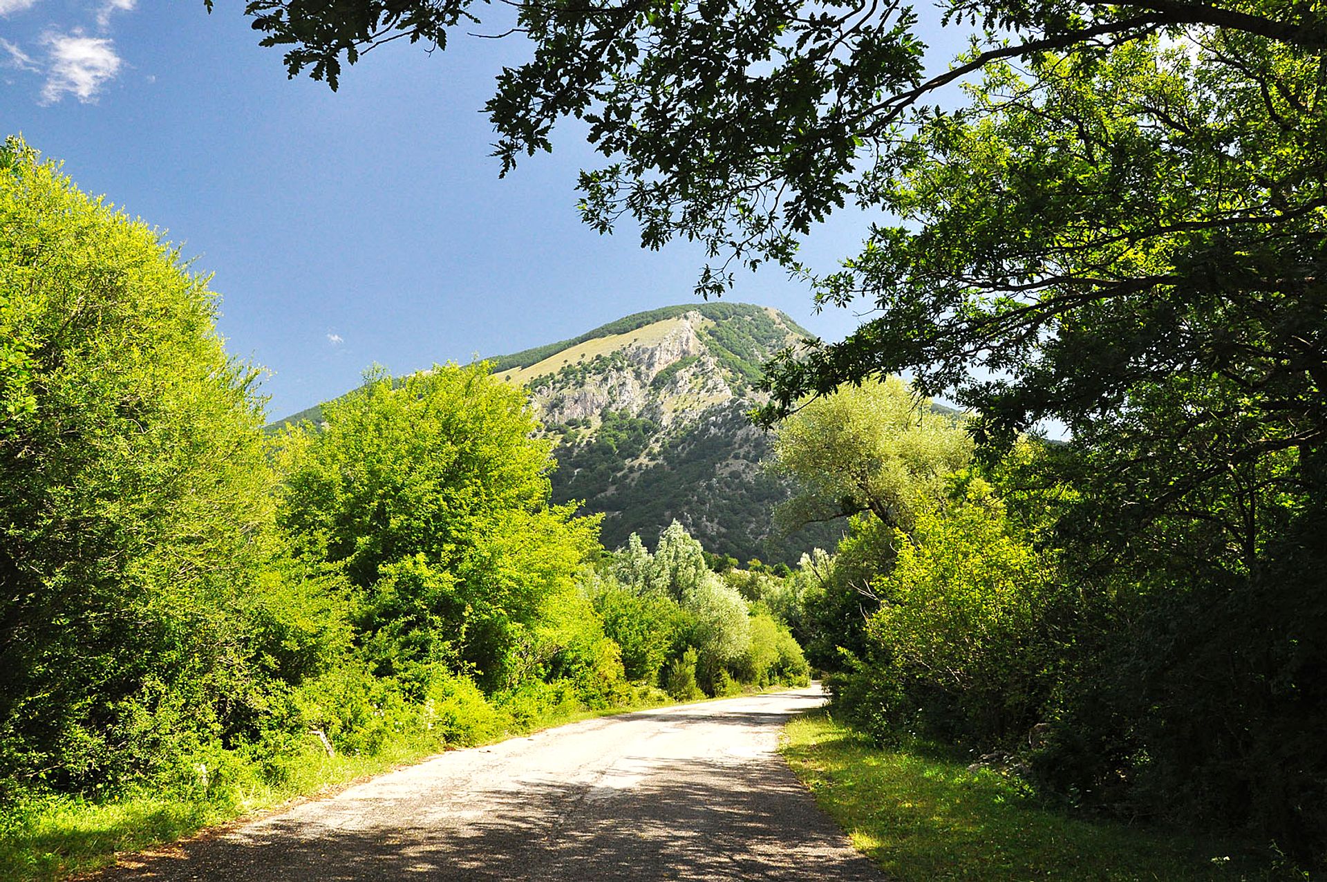 Road to the mountain
