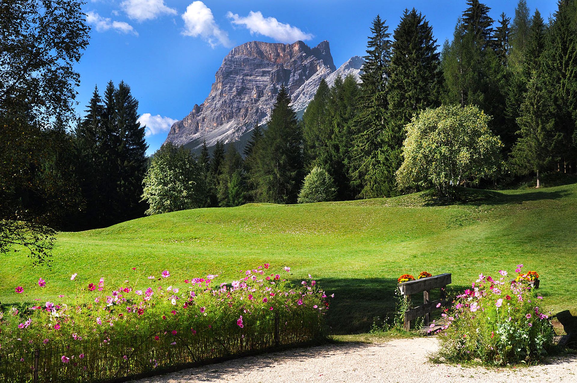 Alpine landscape with flowers
