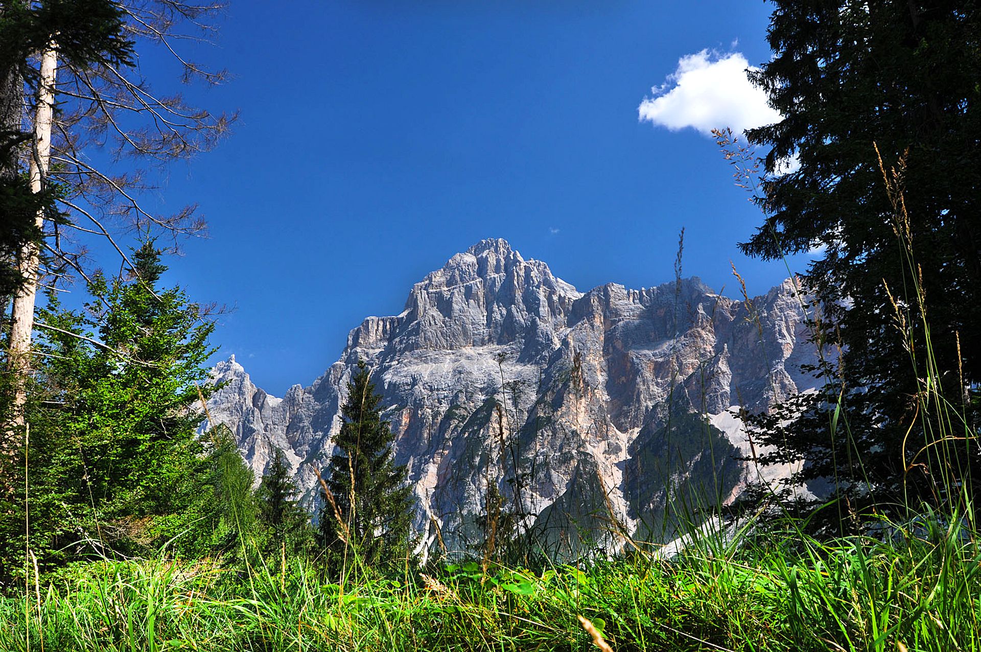 Dolomite peaks among the trees