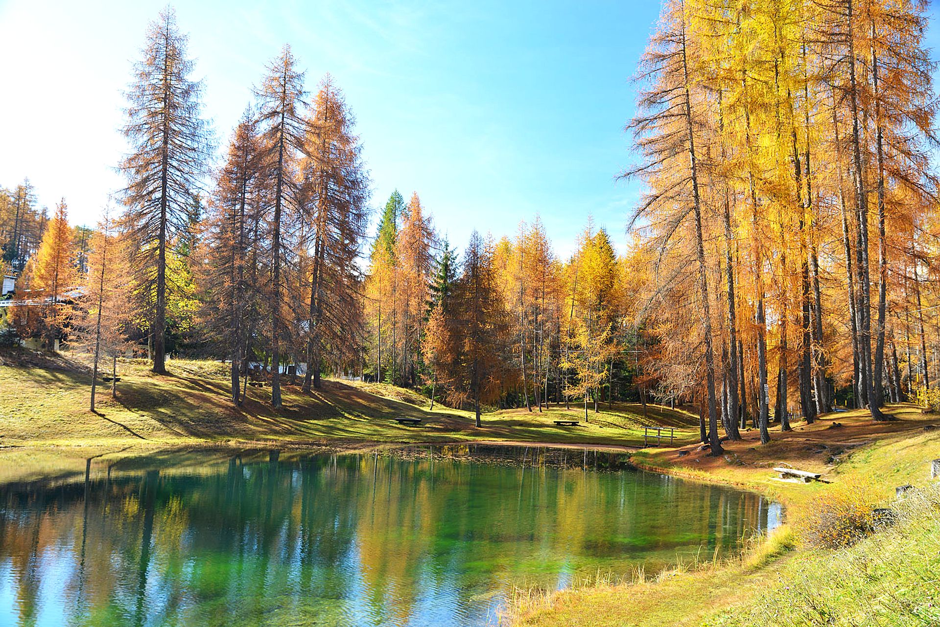 Autumn is reflected in the lake