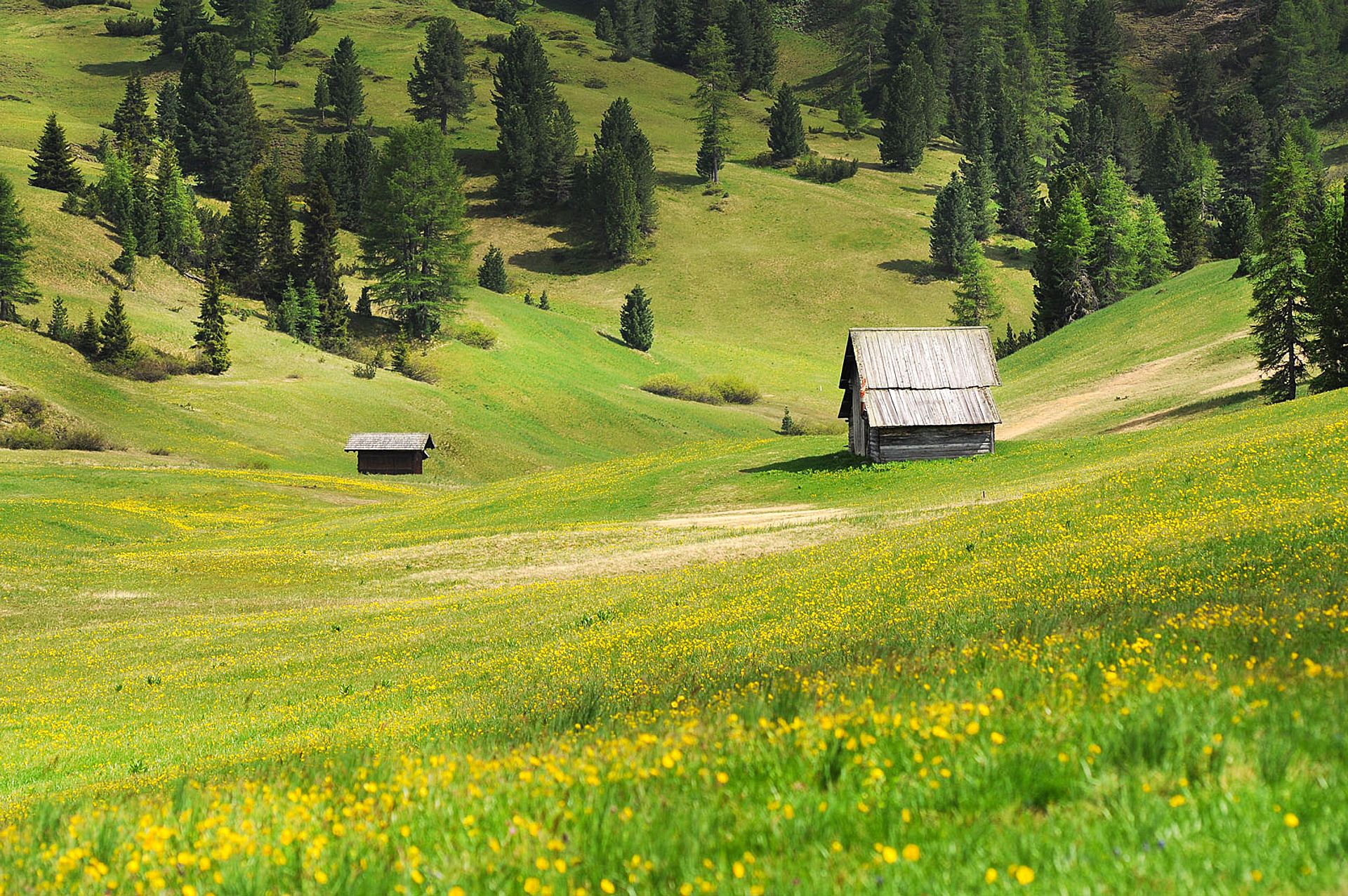 Huts among flowery meadows