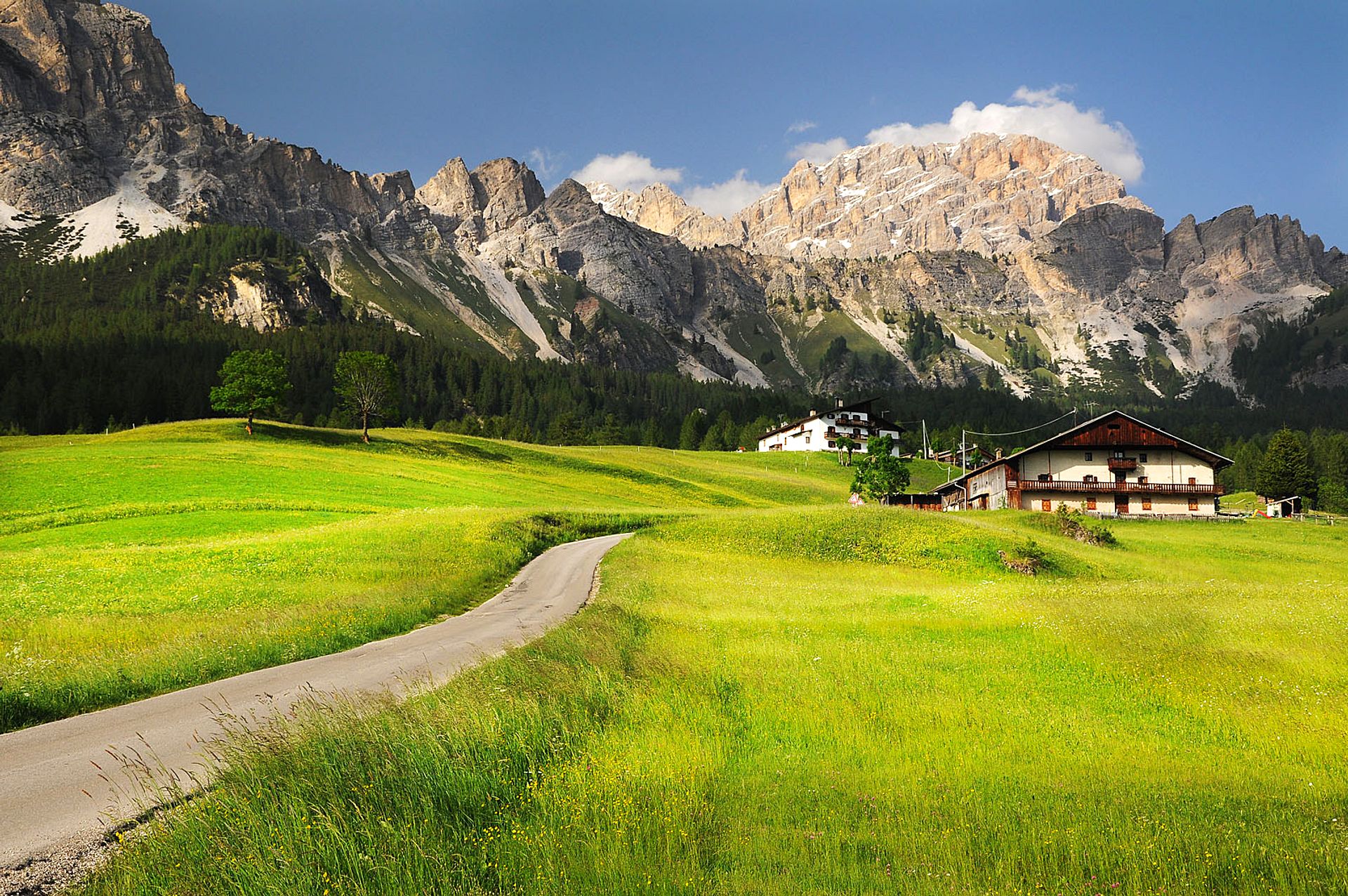 Green meadows and Dolomite mountains