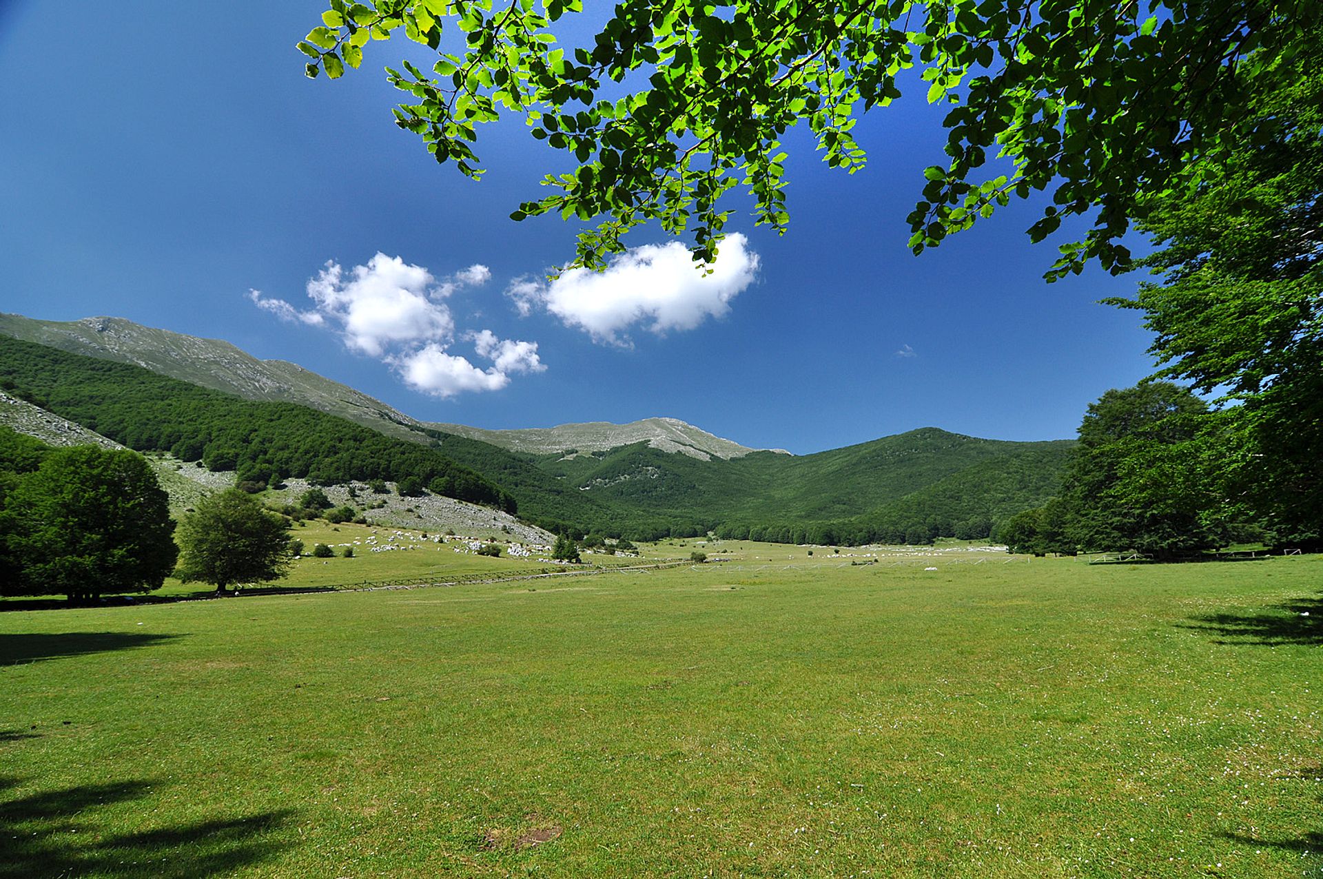 Mountain landscape with green meadows